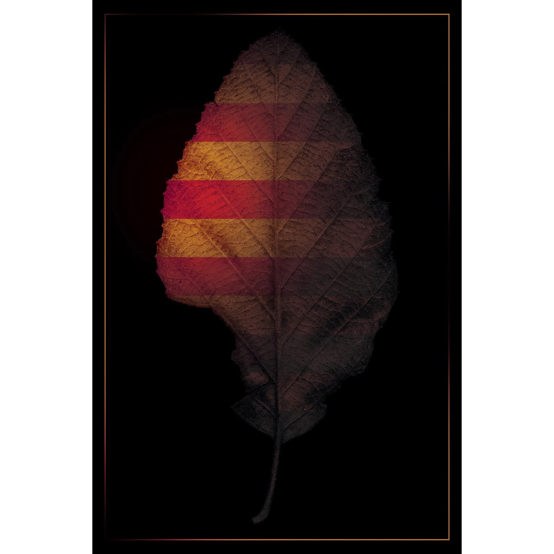 Marmont Hill "Seasons" by Bryon White Painting Print on Wrapped Canvas