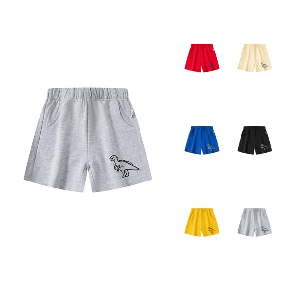 Boy Shorts Boys Shorts for Toddler and Kids Dinosaur Print Elastic Waist Casual Athletic Play Shorts