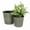 Gray#2, variant on Planters For Outdoor Plants, 2-Pack Smart Self-watering Planter Pot for Indoor and Outdoor - Red - Round Cone, Red Garden Pots,Abs Indoor Garden Pots