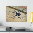 thumbnail image 4 of Black Widow Hunting Black Widow on Hunt Print Animal Wall Art Wildlife Canvas Prints Wall Art Ready to Hang Unframed, 4 of 18
