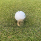 thumbnail image 3 of Señalización de golf para adultos que llevan accesorios deportivos al aire libre con señalización de golf, 3 of 5