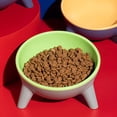thumbnail image 2 of Cuenco de resina para perros y gatos, cuenco elevado e inclinado para gatos, cuenco con base triangular antipunta, cuenco de comida bonito, cuenco de protección de la columna cervical para perros y, 2 of 5