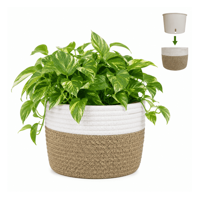 Planterist Maceta Tejida Mediana Autorregable - Moderna Decorativa - Ideal para salas, recámaras, comedores, oficinas, baños y más - Hecha de cuerda de algodón (Tulum)