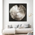 thumbnail image 2 of Giant Art 54x54 Touch of Silver Fine Art Giant Canvas Print in Multi-Color, 2 of 3