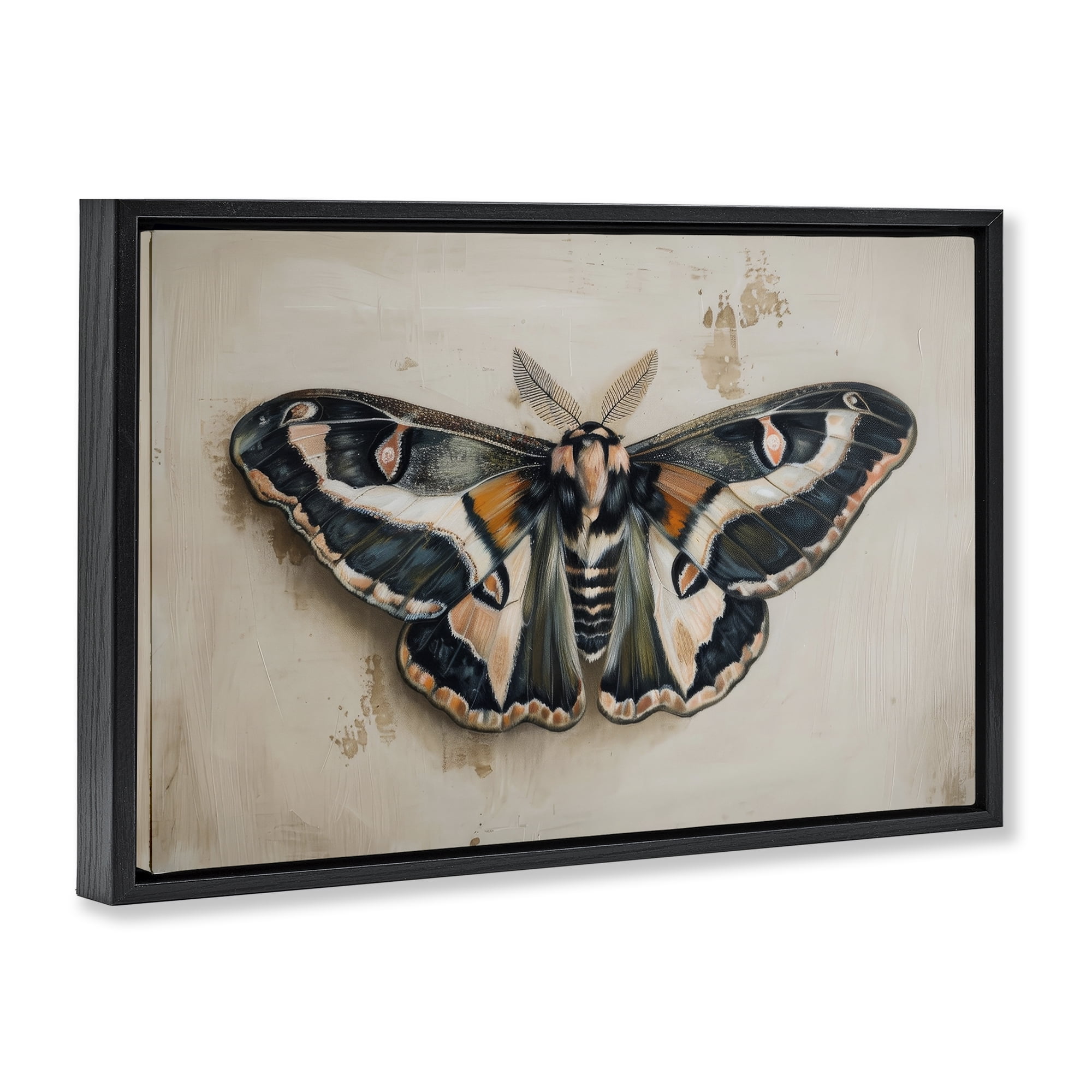 Stupell Industries Dark Winged Moth Animals Painting Black Floater Framed Canvas Art Print Wall Art, 31 x 21