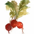thumbnail image 2 of Jensen, Asia 20x20 White Modern Wood Framed Museum Art Print Titled - Radish, 2 of 4