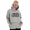 thumbnail image 4 of Work Hard for My Cat Pet Parent Funny Hoodie Sweatshirt Women Men Brisco Brands L, 4 of 6