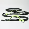 thumbnail image 5 of Reflective Hiking Sut For Running And Durable Dog Belt Double Walking Handle Pet Supplies, 5 of 5