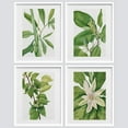 thumbnail image 2 of PixonSign Plant Growth Posters, Framed Green Forest Flower Wall Art, Set of 4 Collage Floral Wall Prints, Nature Wilderness Wall Décor, Botanical Artwork for Bedroom, Office - 12"x16" White, 2 of 5