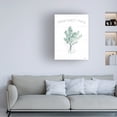 thumbnail image 3 of Beth Grove 'Farmhouse Cotton V' Canvas Art, 3 of 3