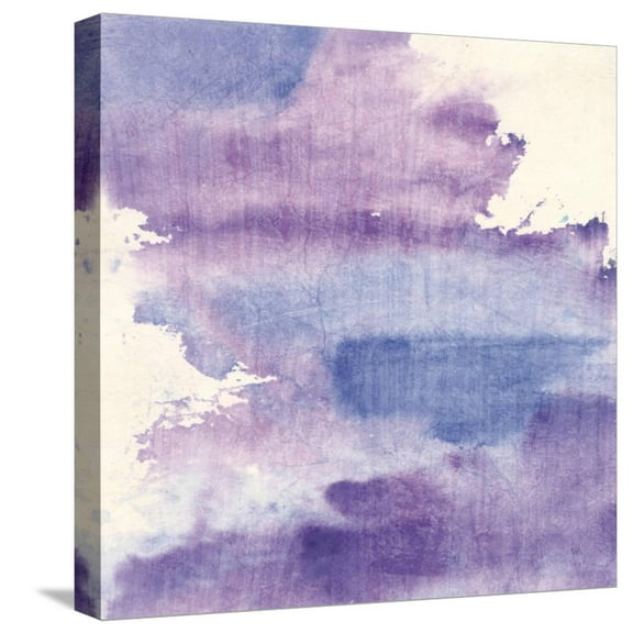 Art.com Purple Haze I Stretched Canvas Print Wall Art by Chris Paschke, 16" x 16"