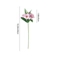thumbnail image 3 of Xecvkr Artificial Trumpet Flower Stems Faux Fabric Floral Arrangement 6 Head Home Office Wedding Table Centerpiece Flexible Custom DIY Durable 1 Pack Pink, 3 of 6