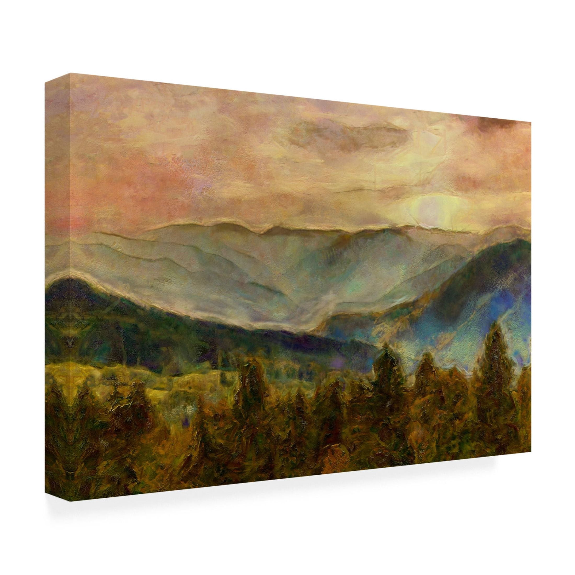Trademark Fine Art Alonzo Saunders  Into the Valley III Canvas Wall Art