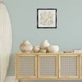 thumbnail image 3 of Stupell Industries Modern Aquatic Neutral Coral Black Floating Frame Canvas Art, 18 x 18, by Caroline Kelly, 3 of 7