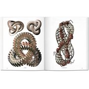 Basic Art M.C. Escher. the Graphic Work, (Hardcover)