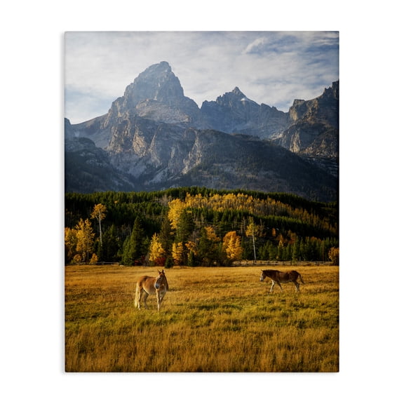 Stupell Industries Farmhouse Horses & Fall Foliage Canvas Art, 24 x 30, by Daniel Sproul
