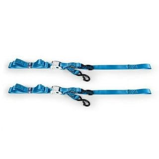 Bungee Cords and Ratchet Straps in Cords and Tie Downs 