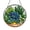 Acrylic 3.5 Inch, variant on Succulent Garden Acrylic Suncatcher Window Hanging, Terrarium Cactus Echeveria Botanical Art Panel Decor, Desert Inspired Ornament Gift