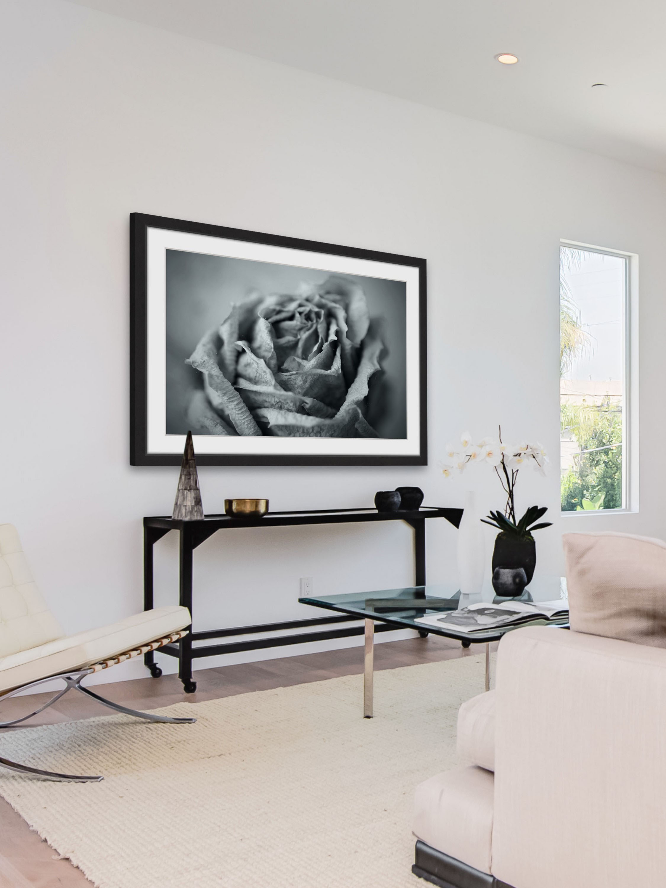 "Classic Rose in Grey" Framed Painting Print