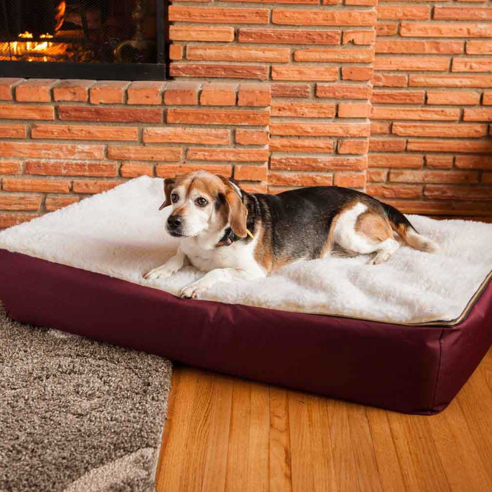 Snoozer Super Orthopedic Lounge Dog Bed