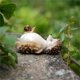 thumbnail image 3 of Decoración hogareña Gwong Garden Hedgehog Figurine Adorable Fina Obras de trabajo Resina Resistente a la intemperie Exquisite Hedgehog Figure para la decoración del hogar Gwong 21080025, 3 of 6