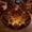 Gift Box, variant on Christmas 3D Optical Illusion Rug, Vortex Round Carpets Xmas Decorations for Living Room Door Indoor Party