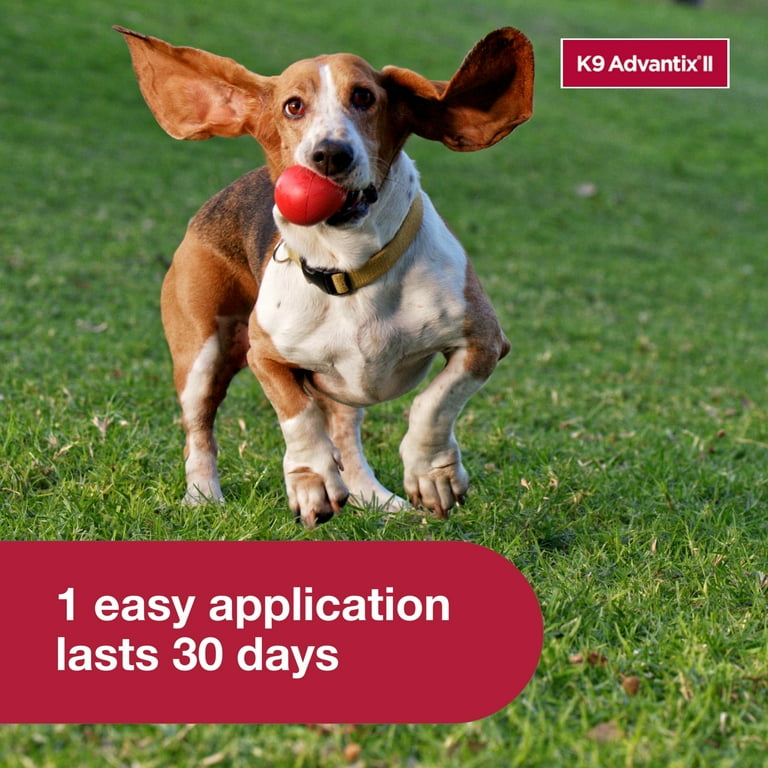 Walmart k9 advantix small deals dog
