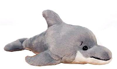 webkinz dolphin