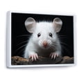 thumbnail image 2 of Designart "Rodent Wonders White Small wall art" Animals Floater Framed Canvas Wall Art, 2 of 7