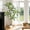 7FT, variant on Gaderth Artificial Plants, Artificial Dracaena Tree, Tall Planter Faux Yucca in Pot, Fake Indoor Outdoor Plant Decor, Faux Tree for Home Office Porch Patio Housewarming