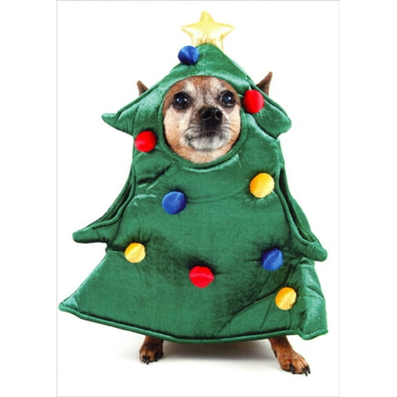 Northern Exposure Dog Wearing Puffy Christmas Tree Costume Funny / Humorous Box of 12 Christmas Cards