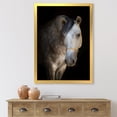 thumbnail image 3 of Designart 'Close Up Portrait Of A White Horse' Farmhouse Framed Art Print, 3 of 4