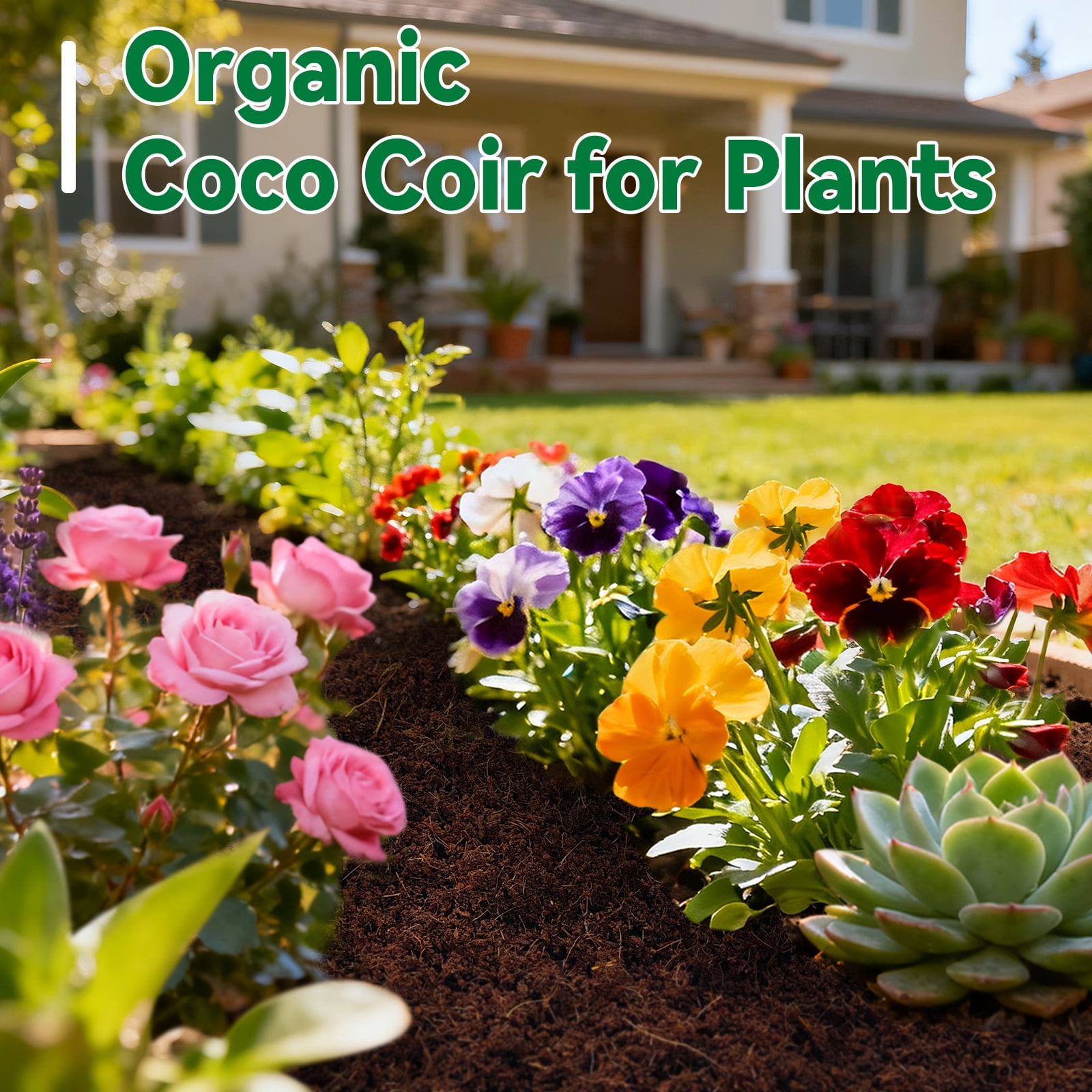 ZeeDix 4 Pcs 100% Organic Coco Coir Brick Coconut Coir Bricks for Plants Gardening Herbs