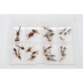 thumbnail image 4 of Moonlit - 24 Nymphing Flies Combo - Perles Sans Barres, 4 of 4