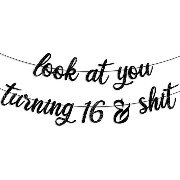 Sweet 16 Party Decorations for Boy & Girls, 16th Birthday Decorations Sign Gifts for Him & Her Pre-Strung look at you turning 16 Banner - Black Glitter