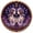 Gemini, variant on Aries Zodiac Sign 5D Diamond Painting Kit for Adults DIY Rhinestone Art Kit Astrology Star Sign Gem Embroidery for Home Wall Decor Stress Relief Creative Hobby Craft Gift All-in-One Set