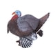 thumbnail image 2 of Modelo de animal de simulación, modelo de animal de simulación, estatua de animal de pavo, juguete para niños, diseño fácil de usar, 2 of 11
