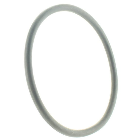 Johnson Evinrude OMC New OEM Gearcase Rubber O-Ring, 0305276