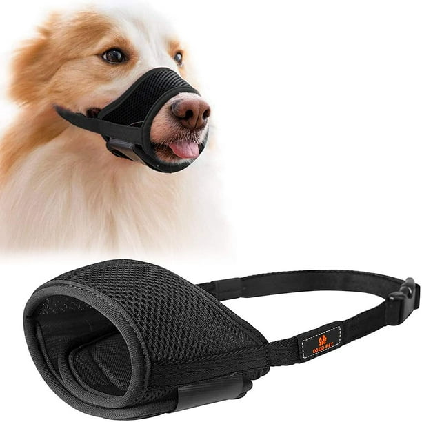 Chihuahua hotsell muzzle barking