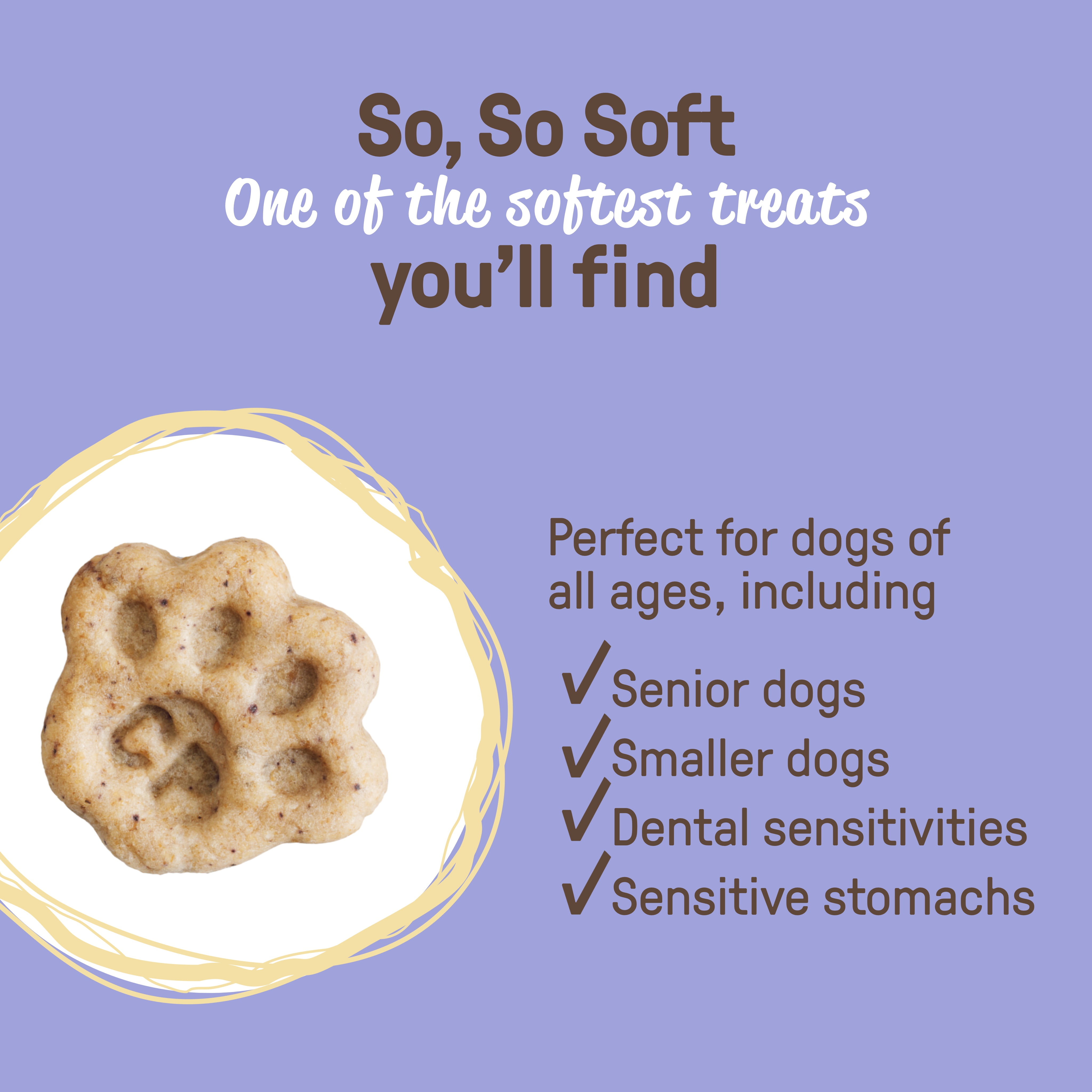 COOKIE PAL Blueberry & Pumpkin Soft Baked Bites Human Grade and Organic Dog Treats 250g, COOKIE PAL B&P 250g