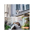 thumbnail image 1 of Filet de Balcon pour Chat 3m*4m Dacron (20 Sangles, 20 Vis d'Expansion, 20 Crochets) Filet de Balcon pour Chat Filet Anti-Chute Clôture pour Animaux, 1 of 5