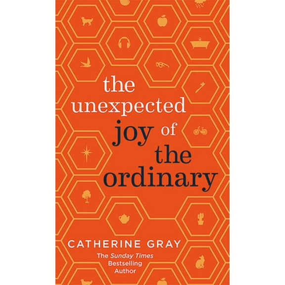 Pre-Owned The Unexpected Joy of the Ordinary (Hardcover) 1783253371 9781783253371