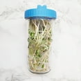 thumbnail image 4 of Tapón De Sellado Pequeño Tapa de germinación de tarro de masón de boca ancha Cubierta de germinación de malla de grado alimenticio (Azul) Sywqhk Libre de BPA, 4 of 6