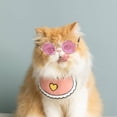 thumbnail image 5 of PRETXORVE Home Decor, Room Decor, Trendy Dog, Pet Glasses Trend Photos Round Frame Mini Sunglasses toy Dolls Sunglasses, 5 of 6