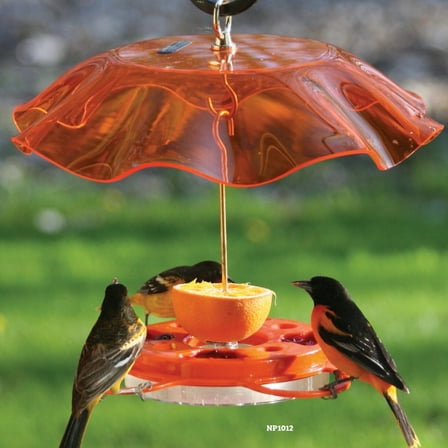 Birds Choice 12 oz. Oriole-Fest Feeder with Weatherguard, Orange