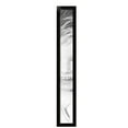 thumbnail image 2 of ArtToFrames 6" x 50" Colonial Onyx Picture Frame, 6x50 inch Black MDF Poster Frame (WOM-4386),  Pack, 2 of 8