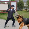 thumbnail image 3 of Juguete de mordedura de perro profesion, manga de de protección de , juguete de tirón para entrenamiento alemán, equipo de agi, 3 of 8