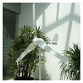 thumbnail image 2 of Warehouse Wind Turbine 800W 12V/24V/48V Windmill Generator For Home Farm Use ,Widely Use, 2 of 5