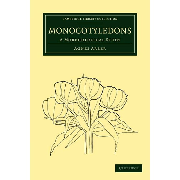 Cambridge Library Collection - Botany an Monocotyledons: A Morphological Study, (Paperback)