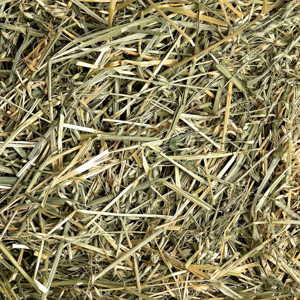 Small Pet Select Oat Hay Pet Food, 10 Lb.
